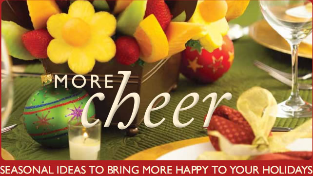 Holiday Gift Guide 2010