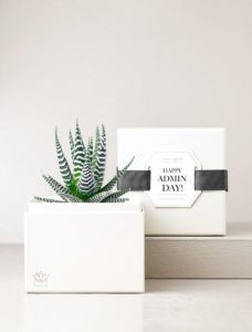 Petite Zebra Admin Day Garden