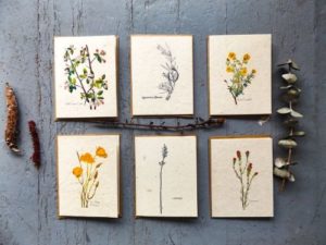 Plantable Seed Cards With Envelopes