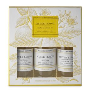 Williams Sonoma Meyer Lemon Kitchen Essentials Kit